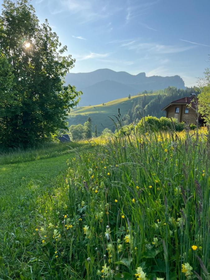 Tauglerei Appartement Enzian In Den Zauberbergen Sankt Koloman ภายนอก รูปภาพ